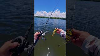 Wild Beat 180SF 48g Slow Floating É um isca extremamente versátil e uma das big baits de respeito