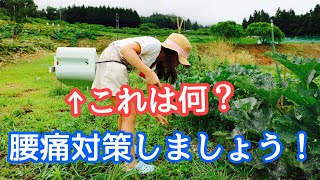 【勝手に紹介シリーズ】知ってる？　腰痛対策「軽イス　かる助」。