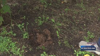 Twin Tiers No Longer under Drought