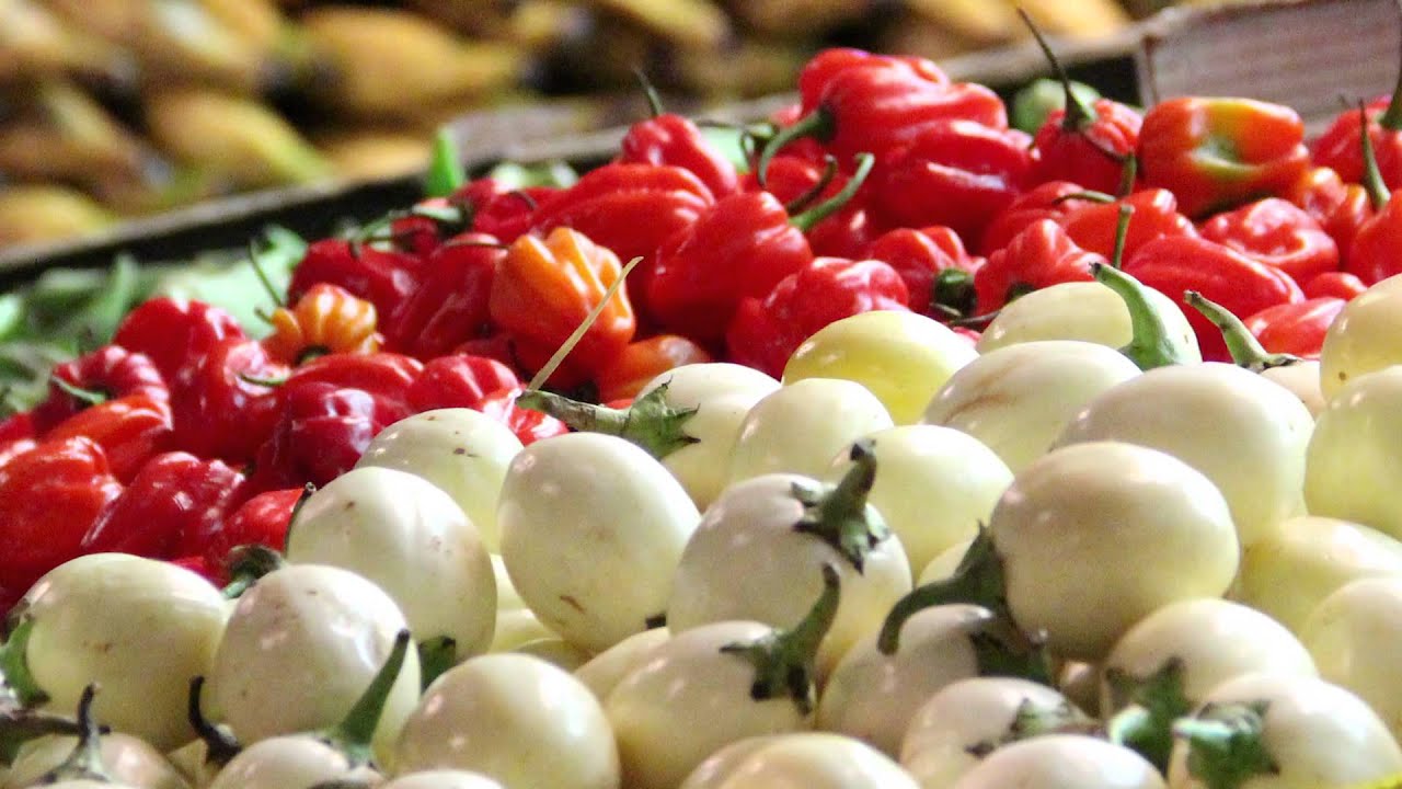 'Freegan' - Short Documentary