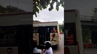 The New Livery of MTC- stalin version_stalin chess tamilnadu bus skin newly upadted stickering work