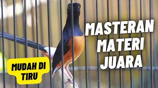 Murai Batu Gacor  Isian Tembakan Mewah Materi Panjang Jelas Mudah Di Tiru Murai Batu