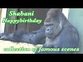 🎉Shabani's 27th Birthday🎉 / A Year's Worth of Drumming and Great Scenes
