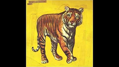 Speed, Glue & Shinki ― Don