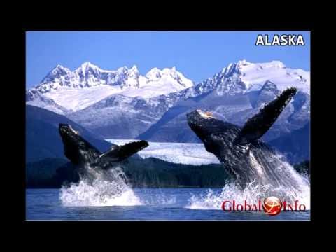 Vídeo: 27 Imágenes Que Demuestran Que El Sudeste De Alaska Es Increíble Para Visitar En Primavera - Matador Network