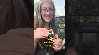 Drip cart product review - Hybrid strain Gods Gift