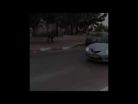 משפחה בטוחה סרטון בטיחות בדרכים
