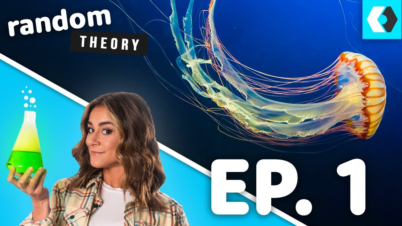 Stop Peeing on Your Friends - Random Theory Podcast EP. 1