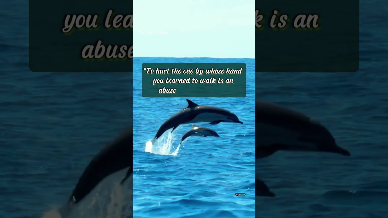 🐟Fish Dance & Positive sign 🐟 