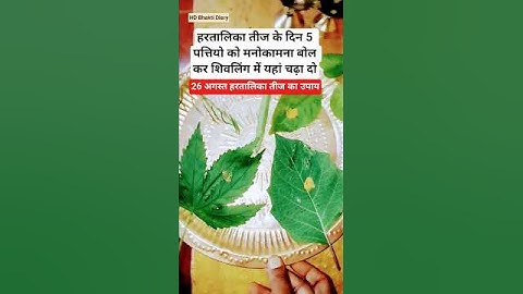 26 अगस्त हरतालिका तीज का उपाय #shorts #shortsfeed #viralshorts #pradeepmishra #hartalikateej #upay