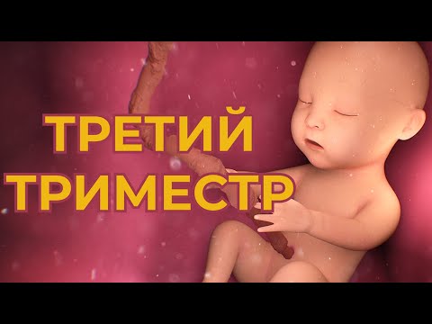 Третий Триместр Беременности.  Что Нельзя Беременным в 3 Триместре ?