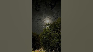 ﴿ واذكر اسم ربّك وتبتَل إليه تبتِيلا ﴾ سوره المزمل، عبدالرحمن مسعد #قرآن #ارح_قلبك #قران_كريم
