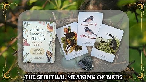 The Spiritual Meaning of Birds Oracle