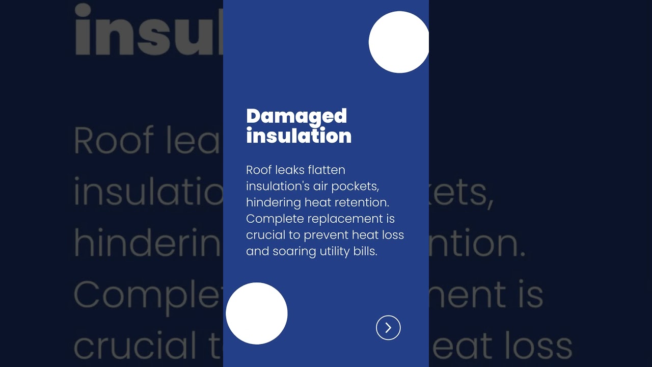 Leaking roofs can lead to serious problems!