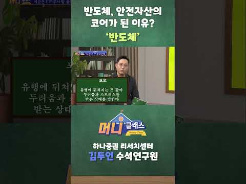 반도체, 안전자산의 코어가 된 이유? '반도체'