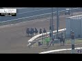 2023 Ack Ack Stakes - Zozos