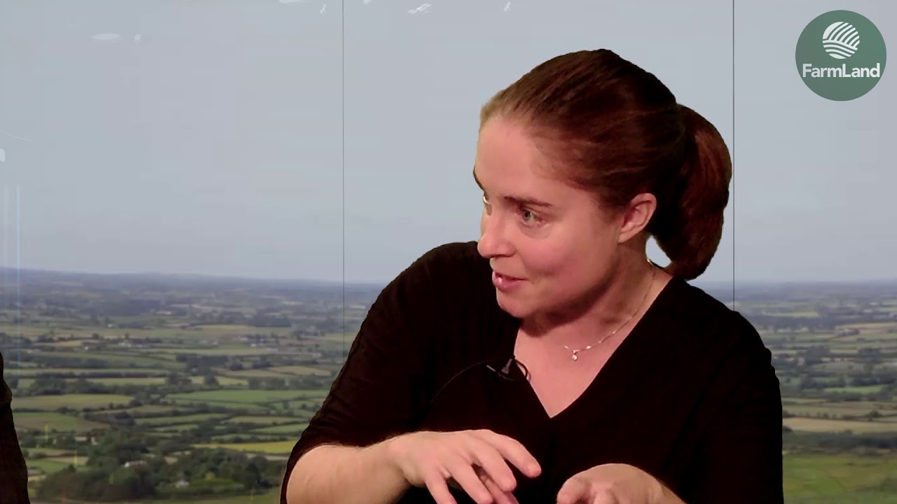 Fodder shortage 'not caused by overstocking'