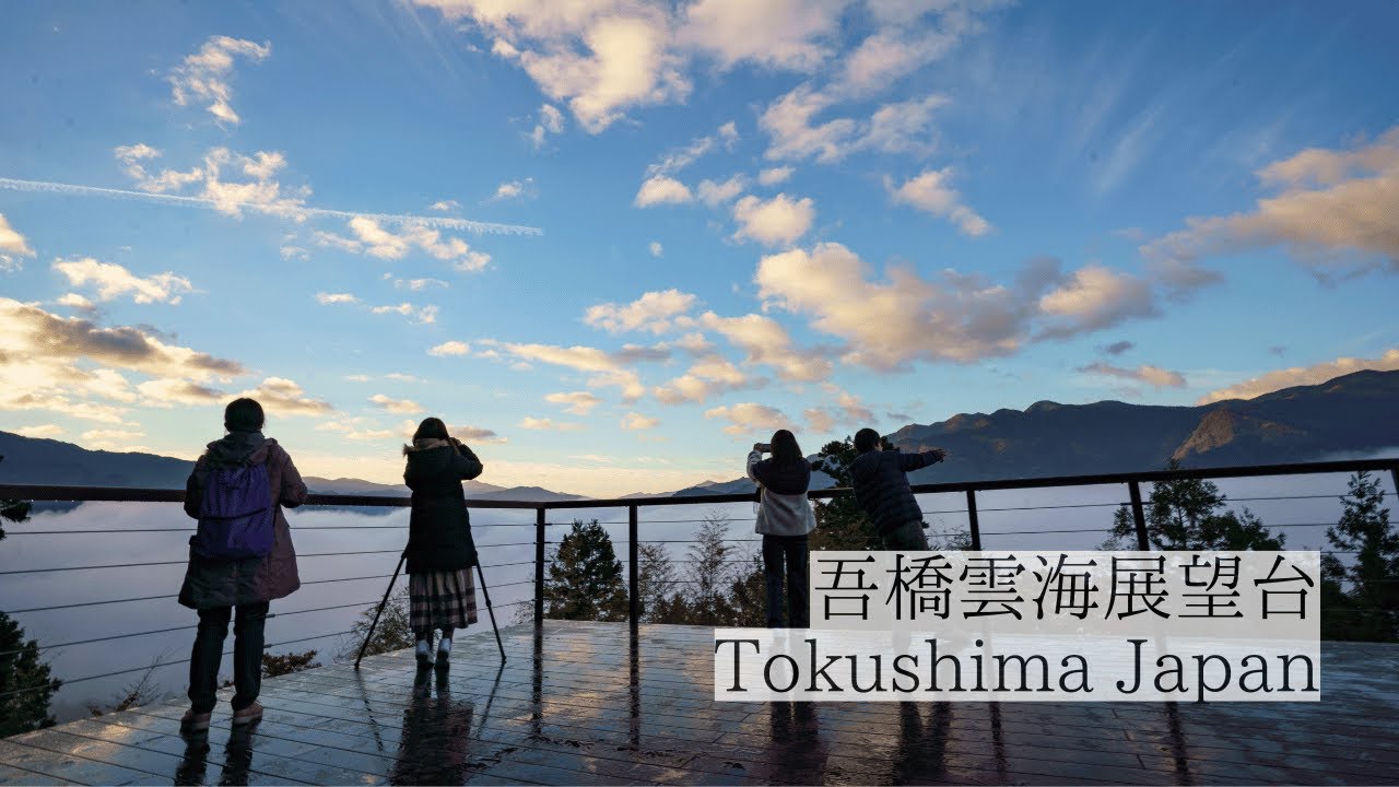 吾橋雲海展望台 | 大歩危祖谷ナビ＜三好市公式観光サイト＞