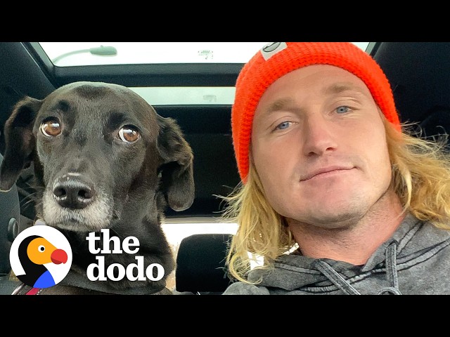 Pro Surfer Breaks His Collarbone — So He Fosters A Dog | The Dodo ...
