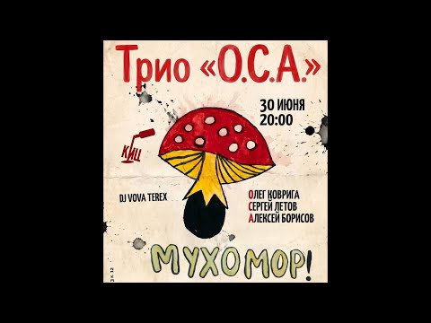 ОСА Коврига Летов Борисов 30.06.2026 МУХОМОР  4