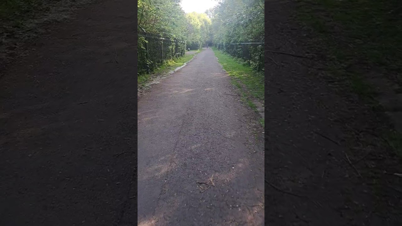 Davyhulme Nature Reserve 