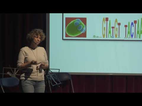 Mireya Plass: BREU HISTÒRIA D’UNA BIOINFORMÀTICA QUE NO VOLIA SER BIOINFORMÀTICA