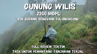 GUNUNG WILIS 2200 MDPL VIA JURANG SENGGANI FULL REVIEW | PUNCAK EKSOTIS, JALUR TERJAL, BADAI GANAS