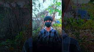 free fire id sailing start or no❤️‍🩹##shorty #youtubeshorts #viral#viralshorts#trending# reels