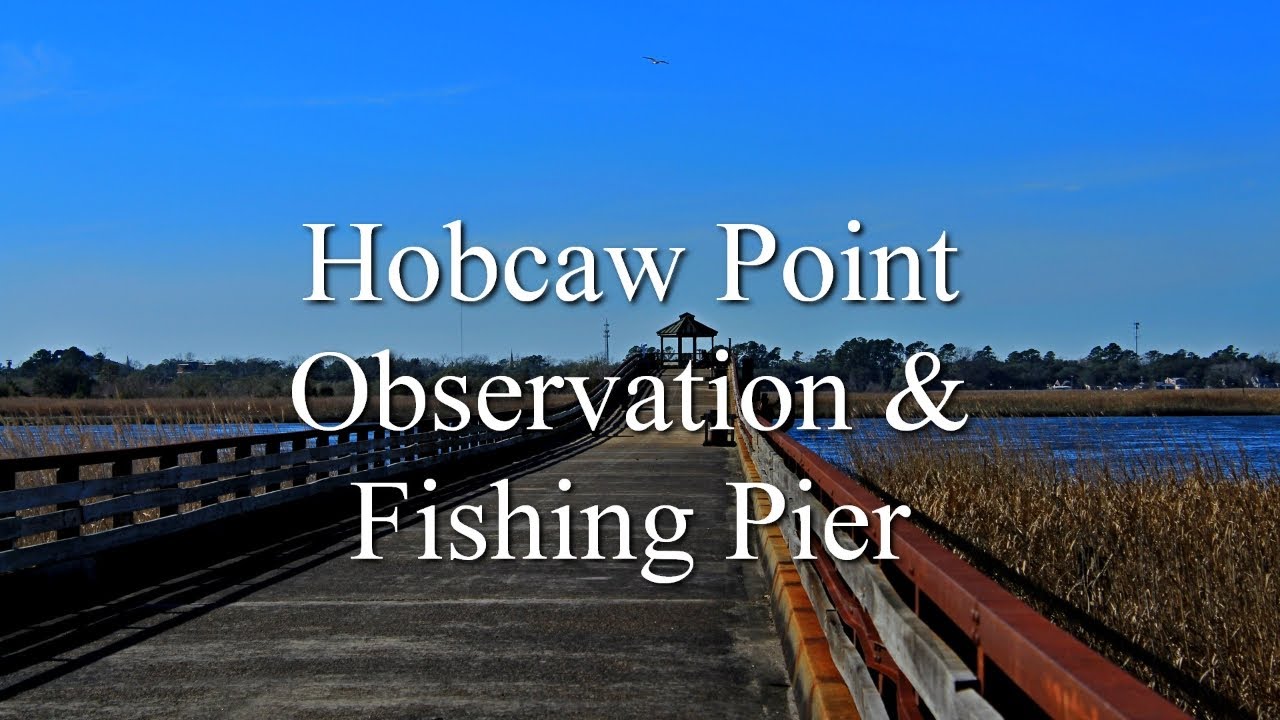The Hobcaw Point Observation and Fishing Pier SC YouTube