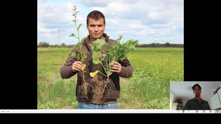 Improving Soil Health with Cover Crops— Zsombor Dirici (HU)