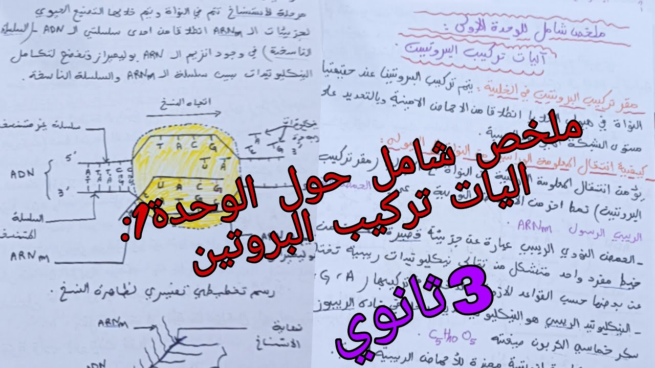 ملخص شامل حول الوحدة الاولى في العلوم :اليات تركيب البروتين للسنة الثالثة ثانوي