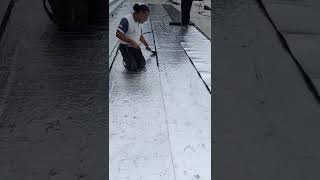 Colocación de membrana