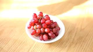 OrangeMonkie Foldio 2