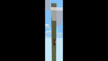 I built an entire chunk of cactus farm on SB737