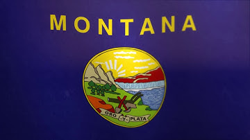 Montana // Waving Flag - Flags of the U.S. states and territories