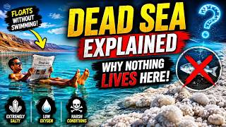Episode 690: Dead Sea Explained:Why Nothing Lives Here | মৃত সাগৰৰ ব্যাখ্যা:ইয়াত একোৱেই নাথাকে কিয়