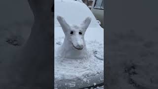 SNOW ANIMAL