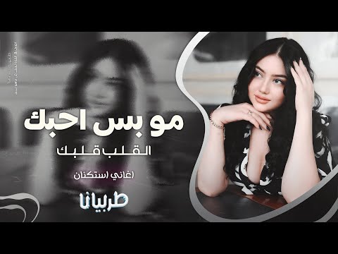 مو بس احبك القلب قلبك جهاد سليمان معزوفه تيك توك 2025 اغاني طرب مطلوبه اكثر شيء