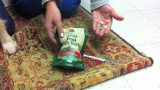 Giving Oral Medications-Kingsbrook Animal Hospital