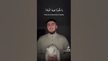 في همة حب الانام 