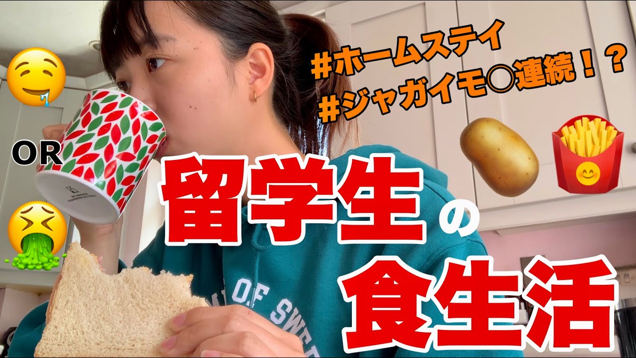留学生ってどんなもの食べて🍴🥩生活してるん？　ホームステイ/ 留学生活/ 海外生活/ アイルランド