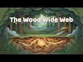 The Wood Wide Web