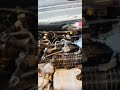 Crazy Car Fix!#mechanic #car #engine #repair #autoservice #viral #shorts #carrepair #auto #garage