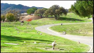 OAKMONT CEMETERY - Garden of Remebrance Section 25S/6/e Row F Space 1