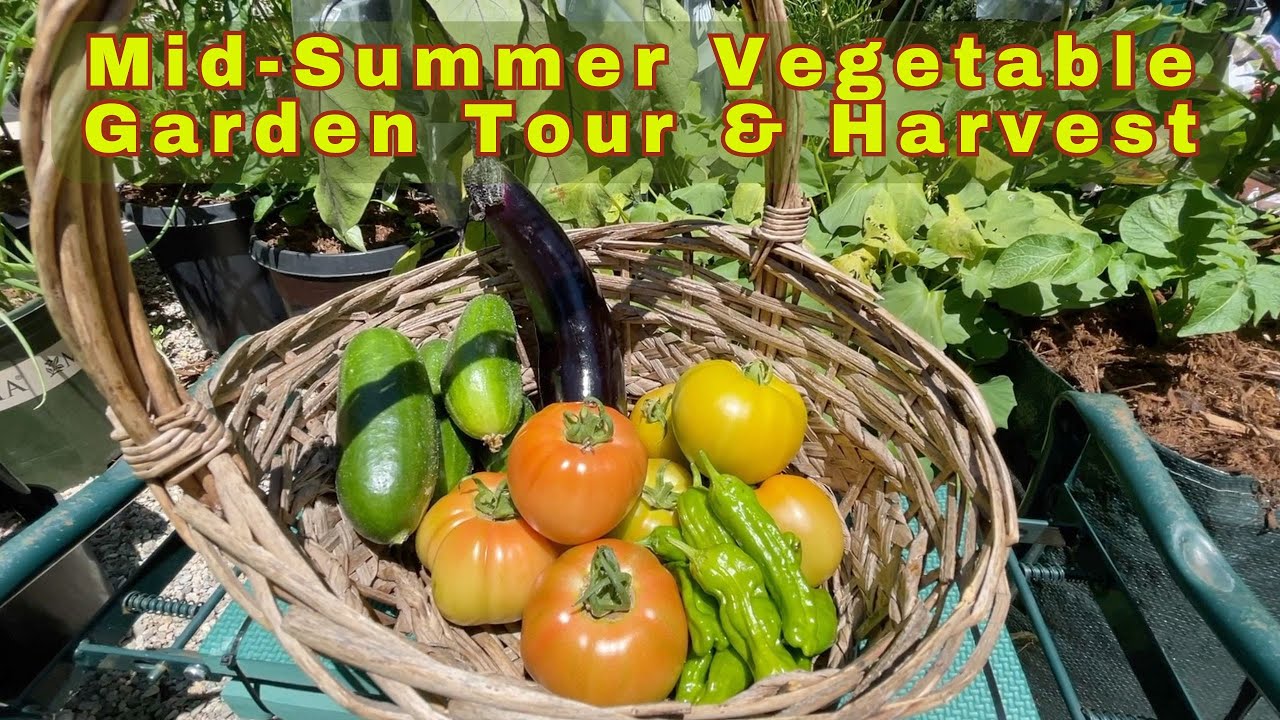 August Veggie Garden Tour & To Dos | How & Why We Mulch | Container ...