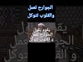 الجوارح تعمل والقلوب تتوكل شيخنا الجليل الشعراوي 