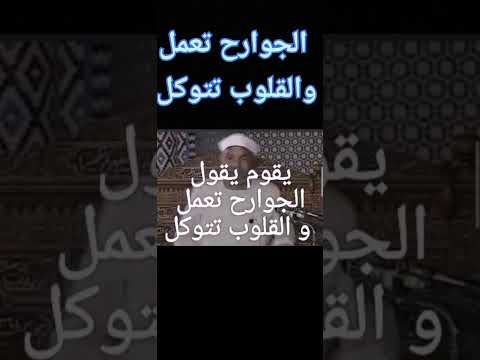 الجوارح تعمل والقلوب تتوكل شيخنا الجليل الشعراوي