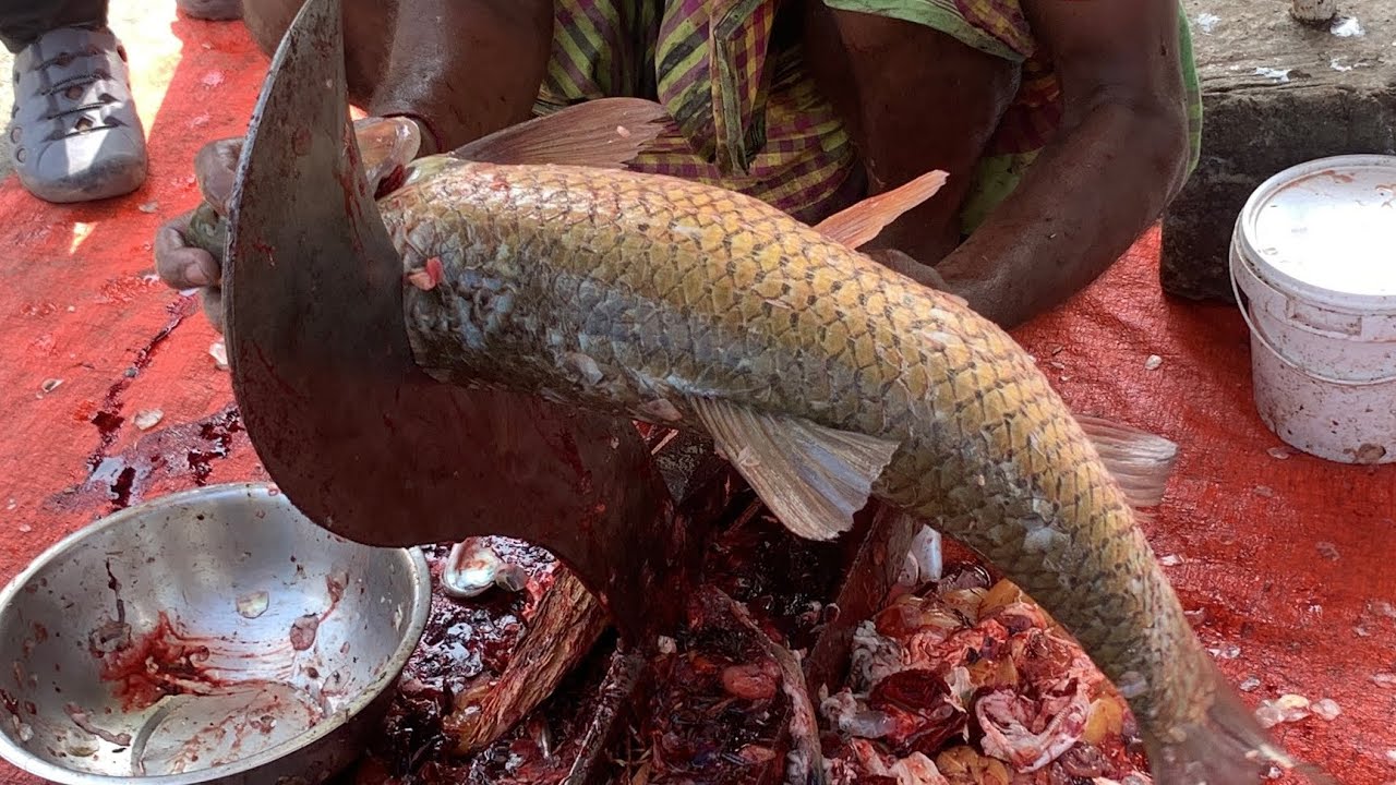 I never seen ll giant Rouhfish cutting live skills by expert fish cutter in Fishmarket 
