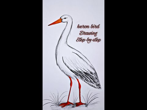 How to Draw