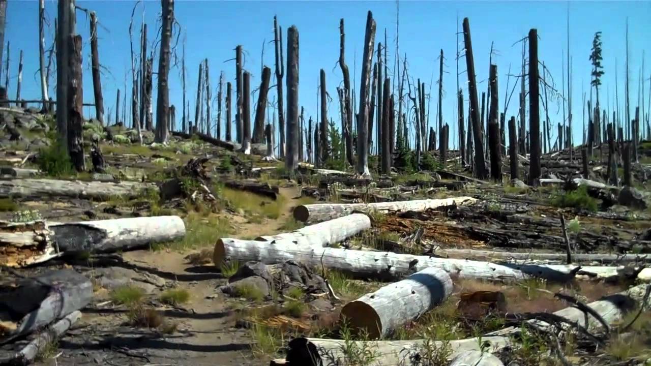 Pacific Crest Trail Hike 27 - Part 4 August 18 through 31st 2012 - YouTube